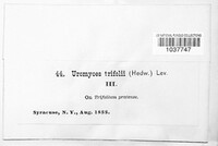Image Associated With the Occurence